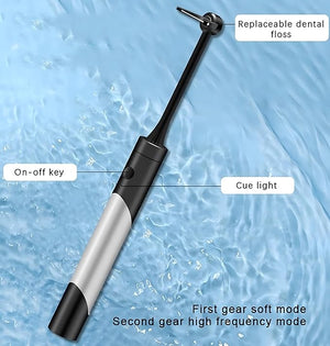 Electric Dental Flosser
